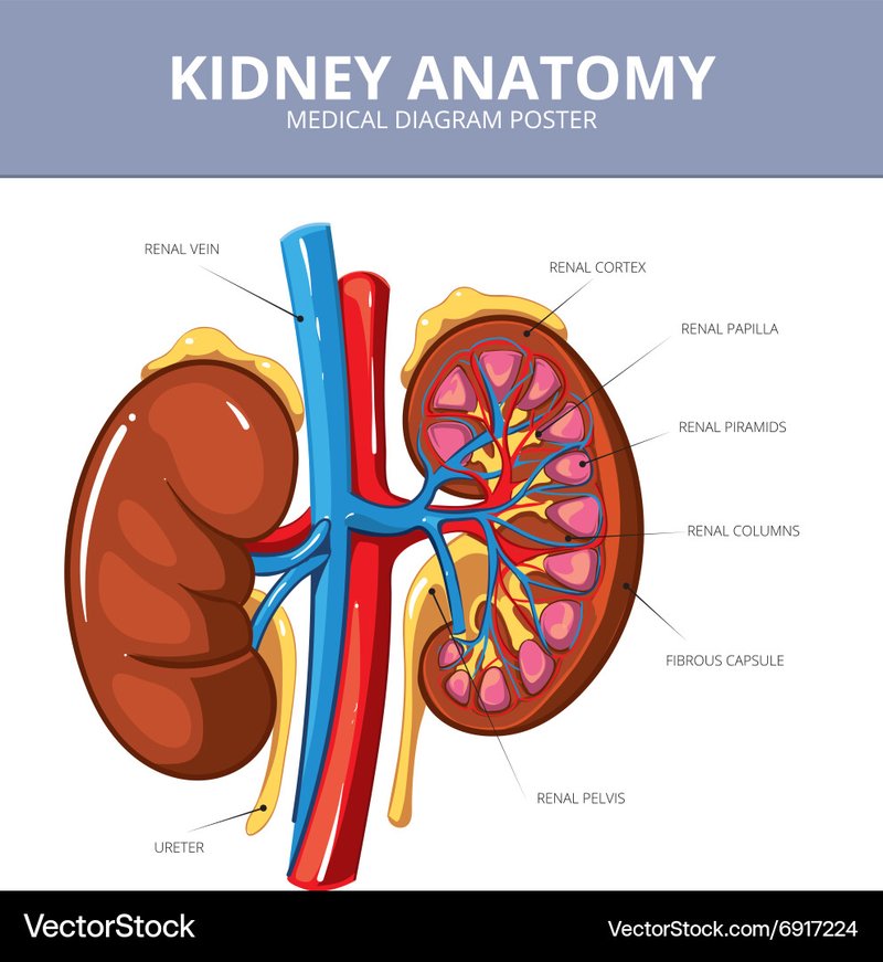 Image: What You’ll Find in This Guide